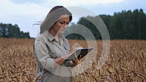 Farmer woman working with tablet on wheat field. agronomist with tablet studying wheat harvest in field. business woman