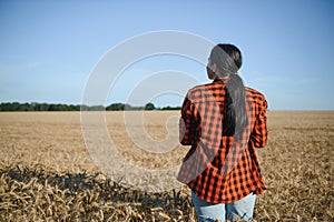 Farmer woman working in wheat field at sunset. Agronomist, farmer, business woman looks into tablet in wheat field