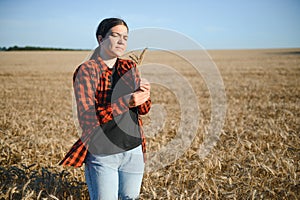 Farmer woman working in wheat field at sunset. Agronomist, farmer, business woman looks into tablet in wheat field