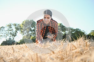 Farmer woman working in wheat field at sunset. Agronomist, farmer, business woman looks into tablet in wheat field