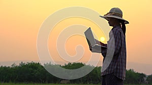 Farmer women holding laptop and checking data on rice field and sunset background of organic agriculture in rural