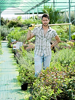 Farmer at work in a greenhouse