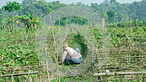 A farmer work at his farm.