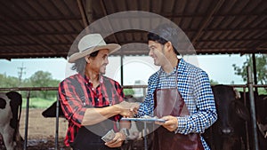 Farmer and worker shaking hands on the dairy farm,Agriculture industry, farming and animal husbandry concept ,Cow on dairy farm