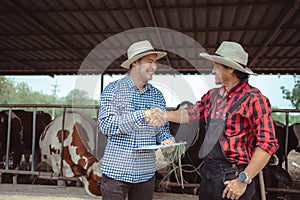 Farmer and worker shaking hands on the dairy farm,Agriculture industry, farming and animal husbandry concept ,Cow on dairy farm