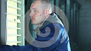 Farmer working on chicken farm, eggs and poultry production.