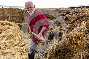 Farmer working and cleaning barn of manure