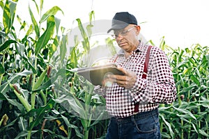 Farmer working in a cornfield, inspecting and tuning irrigation center pivot sprinkler system on tablet. Working in