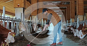 Farmer is working on the farm with cows. Young man farmer cleaning cowshed barn. Cows eating grass on background. Dairy