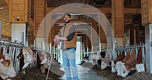 Farmer is working on the farm with cows. Young man farmer cleaning cowshed barn. Cows eating grass on background. Dairy