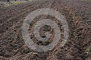 Farmer working in field
