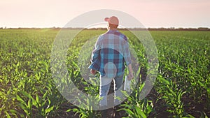 farmer working in a field walk with his back on agricultural land. business farm agriculture concept. farmer with a