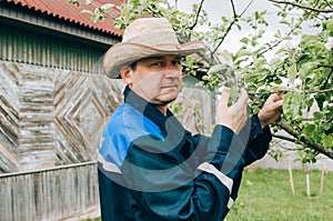 Farmer working in garden and looking on plants