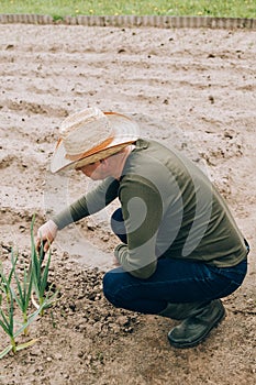 Farmer working in garden and looking on plants