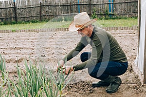 Farmer working in garden and looking on plants