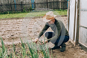 Farmer working in garden and looking on plants