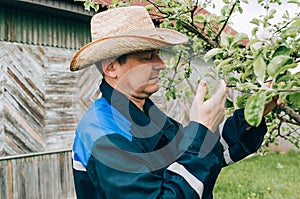 Farmer working in garden and looking on plants