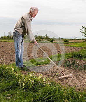 Farmer working in the garden