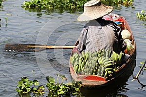 Farmer working sailing on small boat for selling organic fresh banana at river of floating market