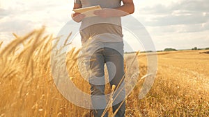 Farmer working with tablet computer on wheat field. agricultural business. businessman analyzing grain harvest