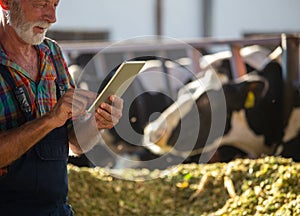 Farmer working on tablet on dairy farm