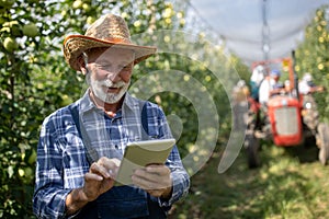 Farmer working on tablet during harvest in orchard