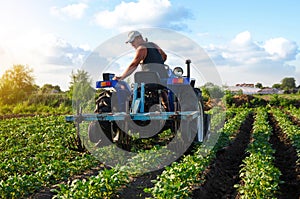 The farmer works in the field with a tractor. Agroindustry and agribusiness. Farming machinery. Plowing and loosening ground. Crop