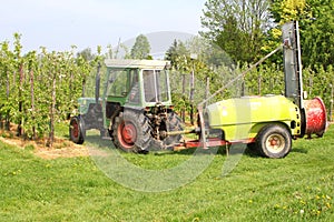 Farmer is working in the agricultural fruit orchards, Tricht / Betuwe, netherlands photo
