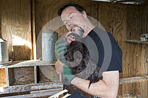 Farmer Worming A Free Range Chicken
