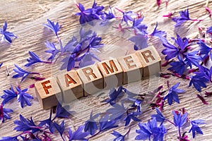 Farmer on the wooden cubes photo