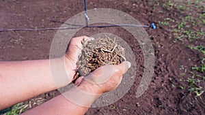 Farmers catch compost to nourish vegetables and trees they grow in organic farming gardens