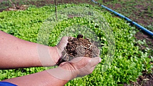 Farmers catch compost to nourish the vegetables and trees they grow in their organic farming gardens. The background is the