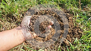 Farmers catch old manure for Make compost to nourish plants and vegetables grown in organic farming gardens