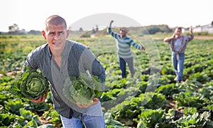 Farmers chase fleeing robber with stolen cabbage