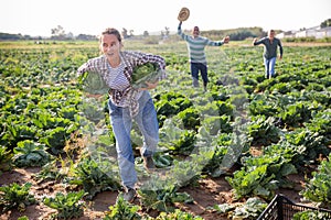 Farmers chase after fleeing woman who stole cabbage from farm field