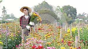 Farmers check the quality of flowers before delivering to customers