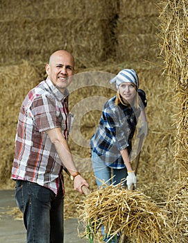 Farmers collecting hay with pitchforks