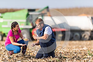 Farmers in corn fields during harvest