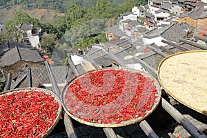 Farmers drying chili and soy in mountain village, adobe rgb