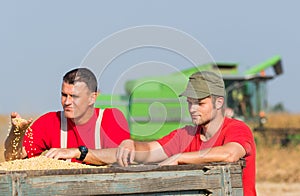 Farmers examine soya bean in trailer after harvest