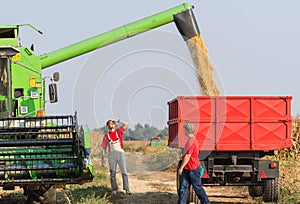 Farmers examine soya bean in trailer after harvest