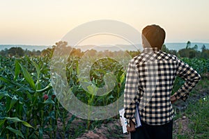 Farmers experimented with growing corn.