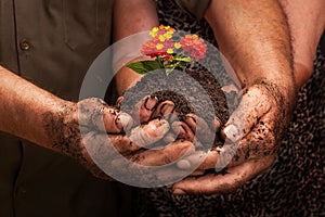 Farmers family hands holding a fresh young plant