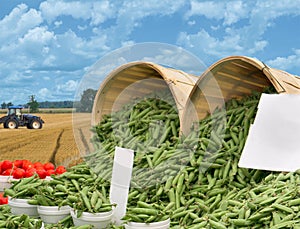 Agricoltori alimentazione 