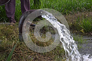 Farmers feet, irrigated in wheat fields by water jet, technical irrigation