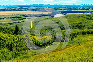 Farmers field adds a splash of colour to the ranch. Glenbow Ranch Provincial Recreation Area Alberta Canada