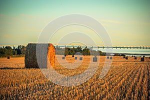 Farmers Field of Prince Edward Island photo