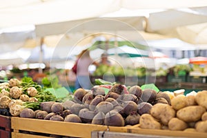 Farmers` food market stall with variety of organic vegetable. Vendor serving and chating with customers