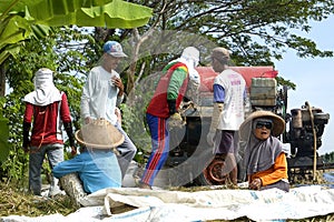 Farmers are grinding rice with a mobile rice milling machine.