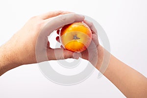 Farmers hand giving an apple to little child girl hand. Short food supply chains SFSCs concept